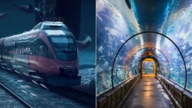 Photo of Underwater Metro -बहती नदी के बीच मेट्रो का रोमांच, आज से दुनिया के लिए आकर्षण बन जाएगी देश की पहली मेट्रो सुरंग