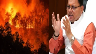 Photo of Uk News-उत्तराखंड के जंगलों में आग लगाने वालों पर लगेगा गैंगेस्टर, संपत्ति होगी जब्त