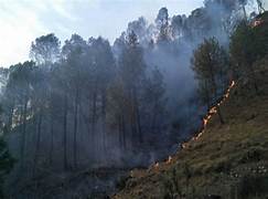 Photo of Uttarakhand- मैदान से लेकर पहाड़ों तक आग ही आग, एक दिन में रिकॉर्ड 52 घटनाएं