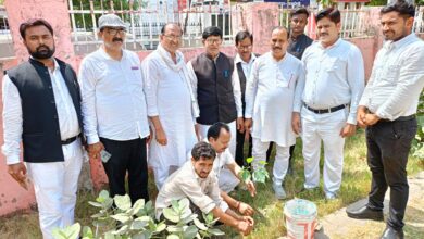 Photo of Raibareli – पर्यावरण सरंक्षण के लिए आवश्यक है वृक्षारोपण: मुकेश रस्तोगी