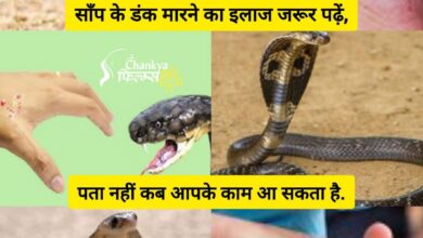Photo of Snake safety tips- 550 प्रकार के साँप, लेकिन केवल 10 ही हैं जहरीले!