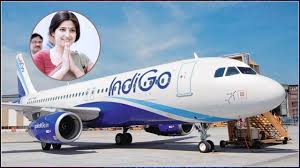 Photo of Lucknow Airport News: लखनऊ एयरपोर्ट पर बड़ा हादसा टला, डिंपल यादव सहित 151 यात्री सुरक्षित
