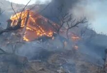 Photo of Dehradun Forest Fire: देहरादून में जंगल की आग ने मचाया तांडव, सेब के बगीचे और मकान चपेट में